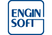 EnginSoft website