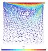 Velocity field for the driven cavity problem